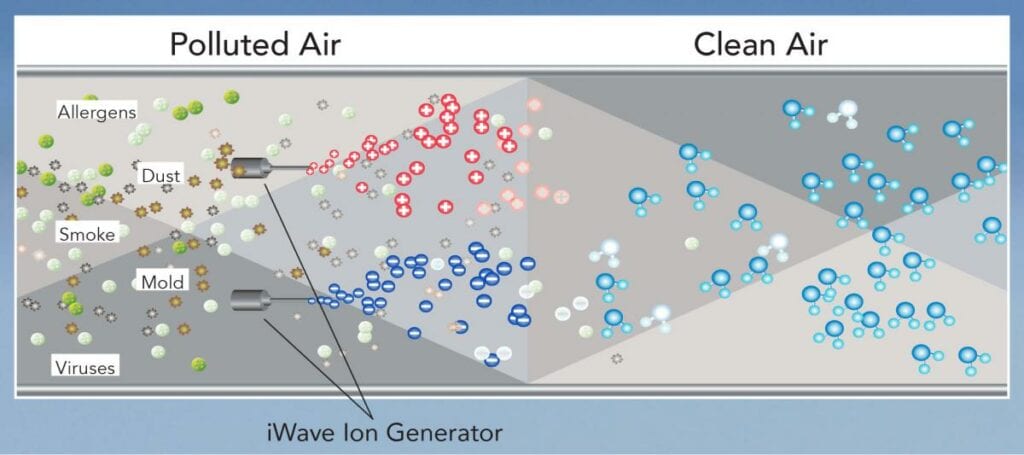 iWave R Diagram